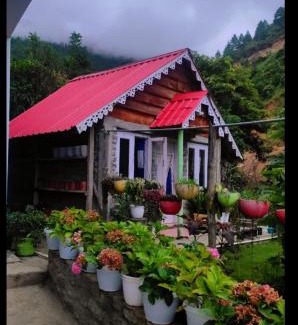 Bomdila Hotel | Hotel Tara