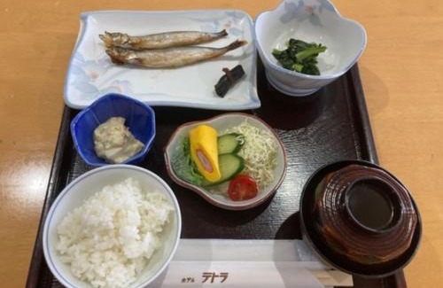 Hakodate Hotel | Hotel Tetora Yunokawaonsen - Vacation STAY 30728v