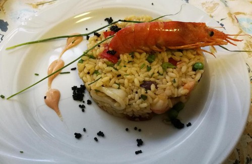 Misano Adriatico Hotel | Hotel Tivoli