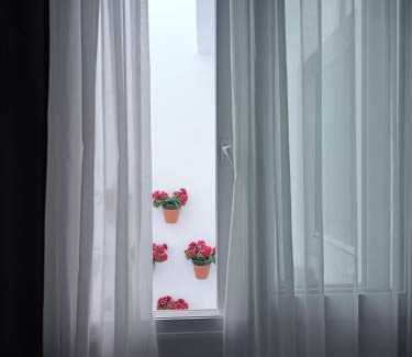 El Rocio Hotel | Hotel Toruño del Rocío