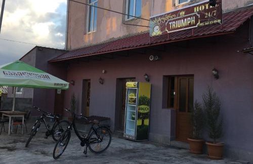Ninotsminda Hotel | Hotel Triumph