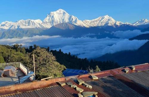 Ghorepani Hotel | Hotel Tukuche peak view lodge and restaurant