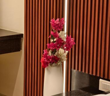 Solapur Hotel | Hotel Vaishnavi
