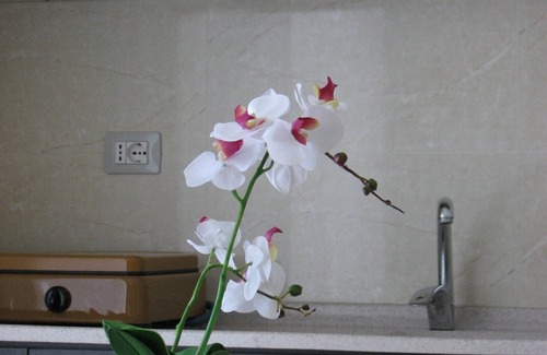 Velipoje Hotel | Hotel Vila Tufi