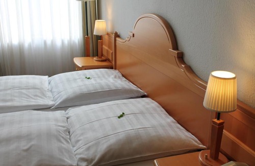 Stadtmitte Hotel | Hotel Weidenhof