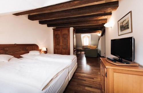 Heidelberg City Centre Hotel | Hotel Weisser Bock