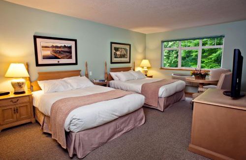 Tofino Hotel | Hotel Zed Tofino