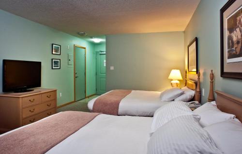 Tofino Hotel | Hotel Zed Tofino