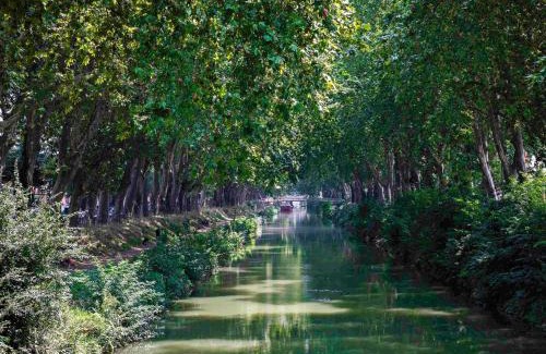 Ramonville-Saint-Agne Hotel | hotelF1 Toulouse Ramonville