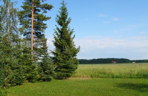 Loimaa Hotel | Hotelli Aliisa