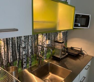 Ikaalinen Apartment | Hotelli Terme 616