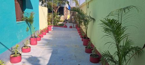 Diamond Harbour Hotel | Hotelswapnoneer