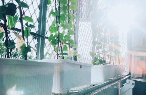 Longjing House | House ∙ 1 bedroom ∙ 2 guests