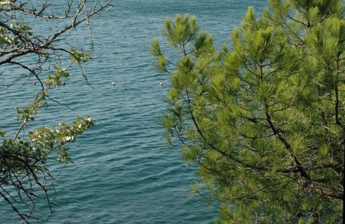 Duino-Aurisina Apartment | House by the sea 6