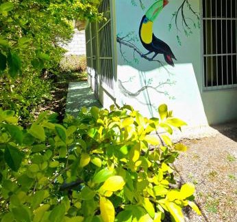 Monteverde Apartment | HOUSE CATTLEYA monteverde