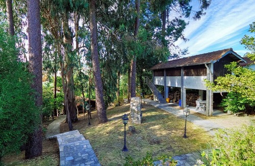 Santa Luzia House | House for 12 persons in Amares Portugal