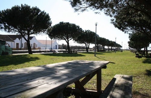 Murtosa House | House for Murtosa Ria de Aveiro near Beaches