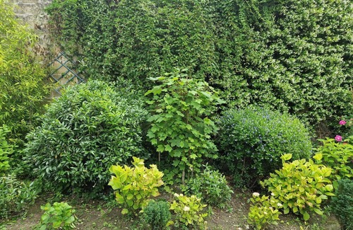 Le Mesnil-le-Roi Apartment | House ground floor garden /terrace/Paris 18' RER"A" TO Maison Laffitte- 4 pers