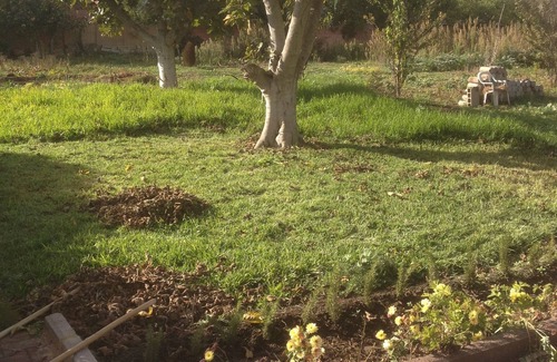 Bouskoura House | House in Bouskoura with garden