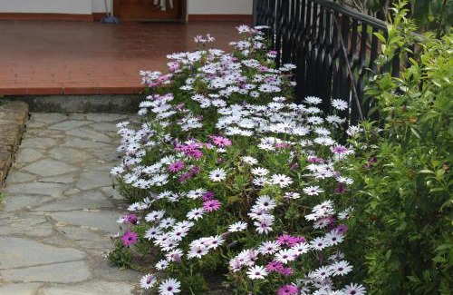 Imperia Apartment | House in Caramagna