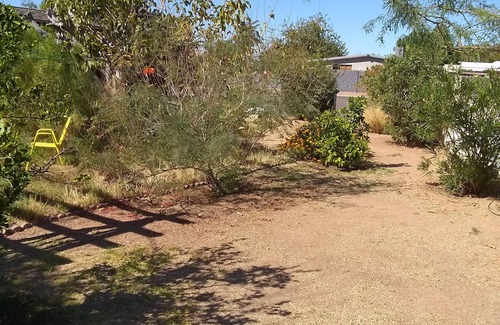 East Mesa House | House in Mesa 45 minutes to chase field, 1:15 minutes to Glendale stadium