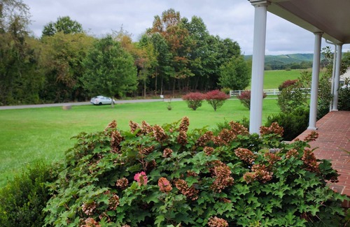 Blacksburg House | House in Quiet Neighborhood, within 10 minutes of Virginia Tech, Sleeps 6