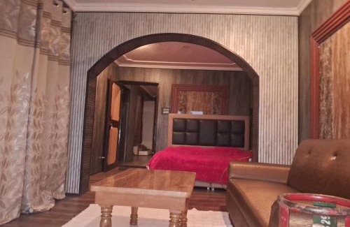 Srinagar House | house