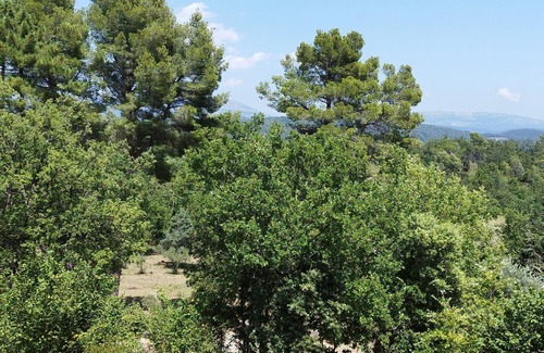 Tourrettes Villa | House in the heart of the forest