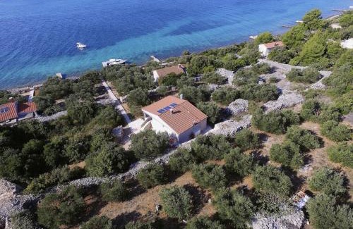 Tkon House | House Marko