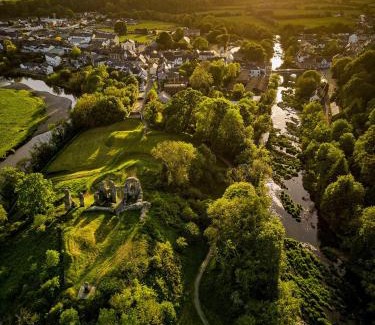 Newcastle Emlyn House | House of Brohedyn