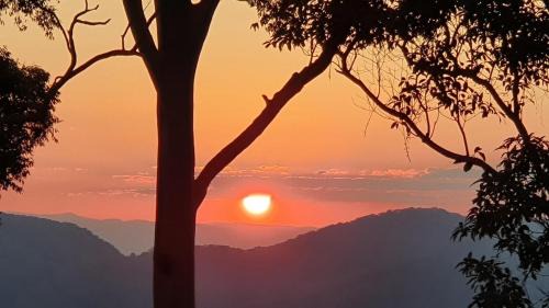 Mapleton Bed & Breakfast | House of Mahalo Accommodation
