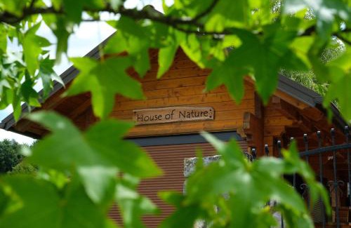 Bostanj Ski Chalet | House of Nature Tajhte
