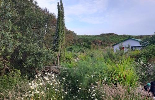 Goleen House | House of Quartz