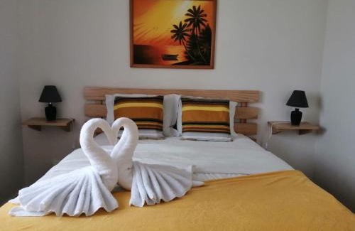 Ponta Delgada House | House of Roses