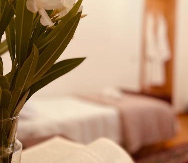 Sairme House | House of Warmth