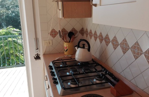 Ischia Porto Apartment | House on the island of Ischia, in pine forest with private descent to the sea.