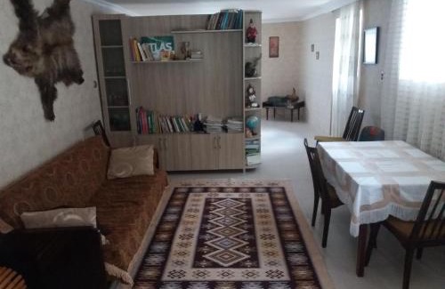 Akhaltsikhe House | House Rustaveli street 112