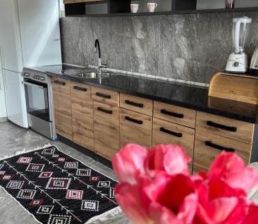 Novi Grad Sarajevo Villa | House Sarajka