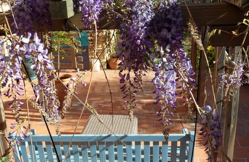 Saint-Siffret House | House surrounded by oak and pine trees in a peaceful area at 4 k from Uzes