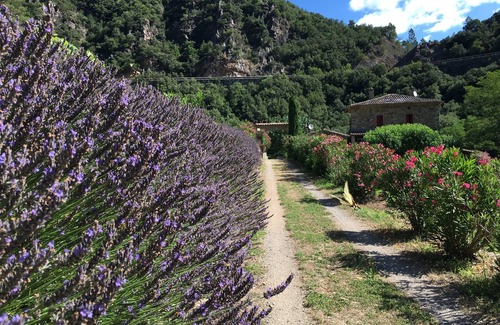 Peyrolles House | House/Villa - Peyrolles