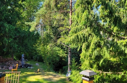 Fircrest House | House with Creek