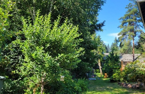 Fircrest House | House with Creek