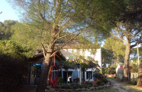 L'Isle-sur-la-Sorgue House | House with pool in Provence