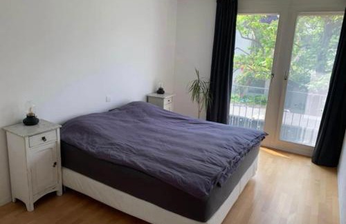 Basel City Centre Apartment | House with garden