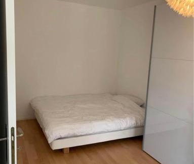 Basel City Centre Apartment | House with garden
