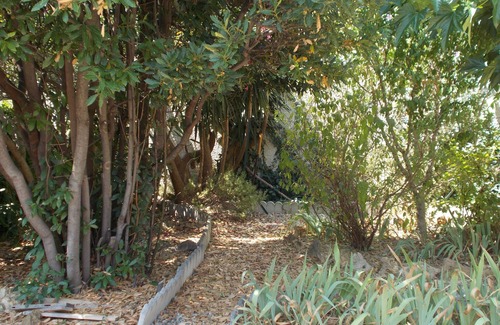 Narbonne House | House with shaded garden in a quiet dead end of Narbonne.