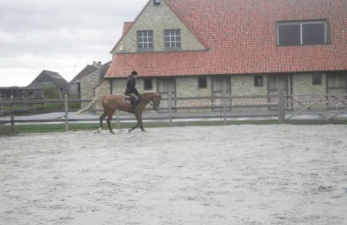Oosthoek House | House Zoute Stables 125sqm in 5 Ha property near seaside in Knokke