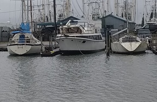 Galveston Boat Rental | HouseBoat Trawler 36 Mariner Carver