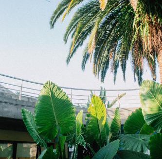 Yerba Buena Hotel | Howard Johnson Hotel Yerba Buena