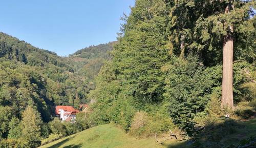 Gengenbach House | Huberhof Pfaffenbach